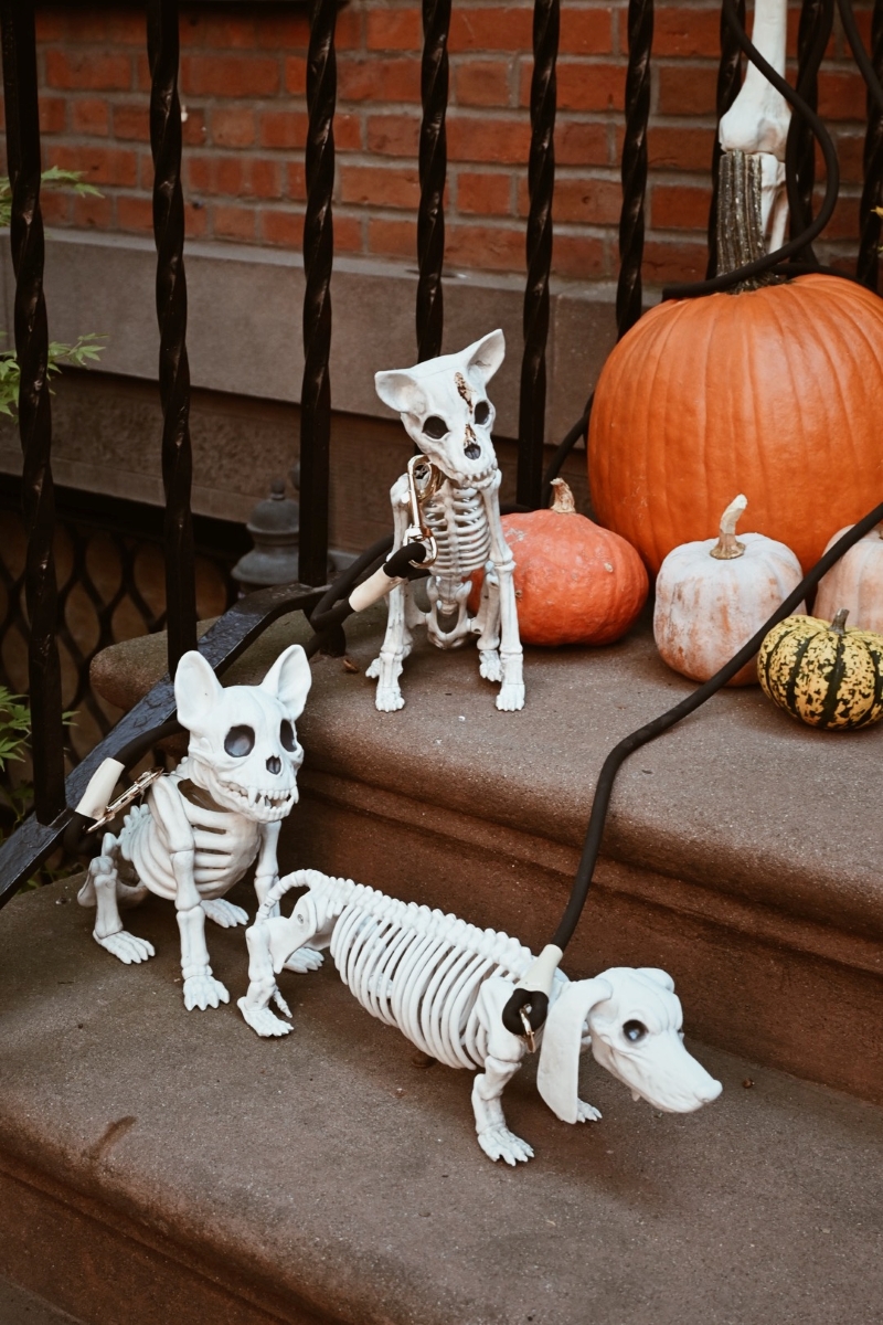 el-duelo-perdida-salud-mental-depresion